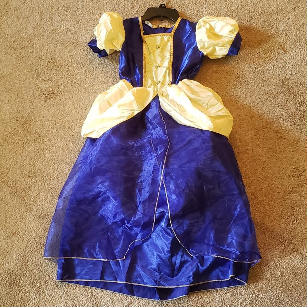 Early 2000s Storyland NH Cinderella full ball gown costume Halloween Princess